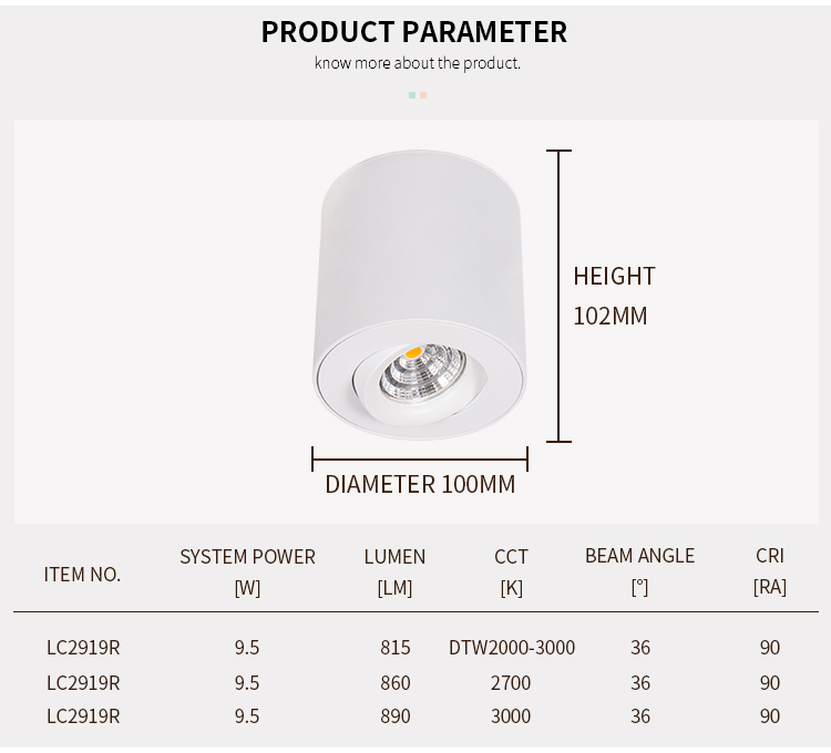 surface mounted downlight