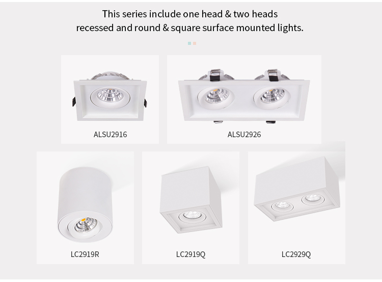 Tilted two heads downlight
