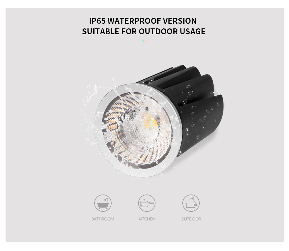 Waterproof COB LED Module