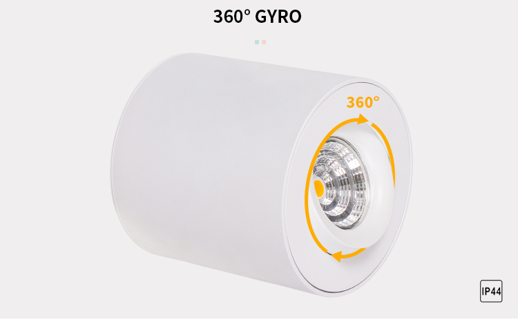adjustable surface mounted downlight