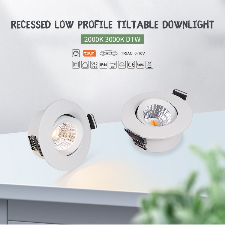 Back cover Tilted Recessed LED Downlight