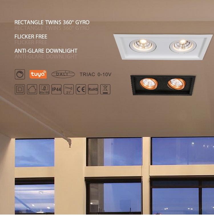 Two Heads Recessed LED Downlight